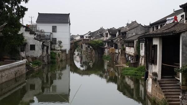逃离野鸡森林